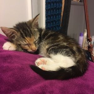 Meet your Posher, Julieanna